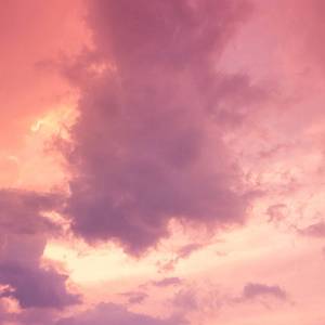 国产成人精品无码一区二区
